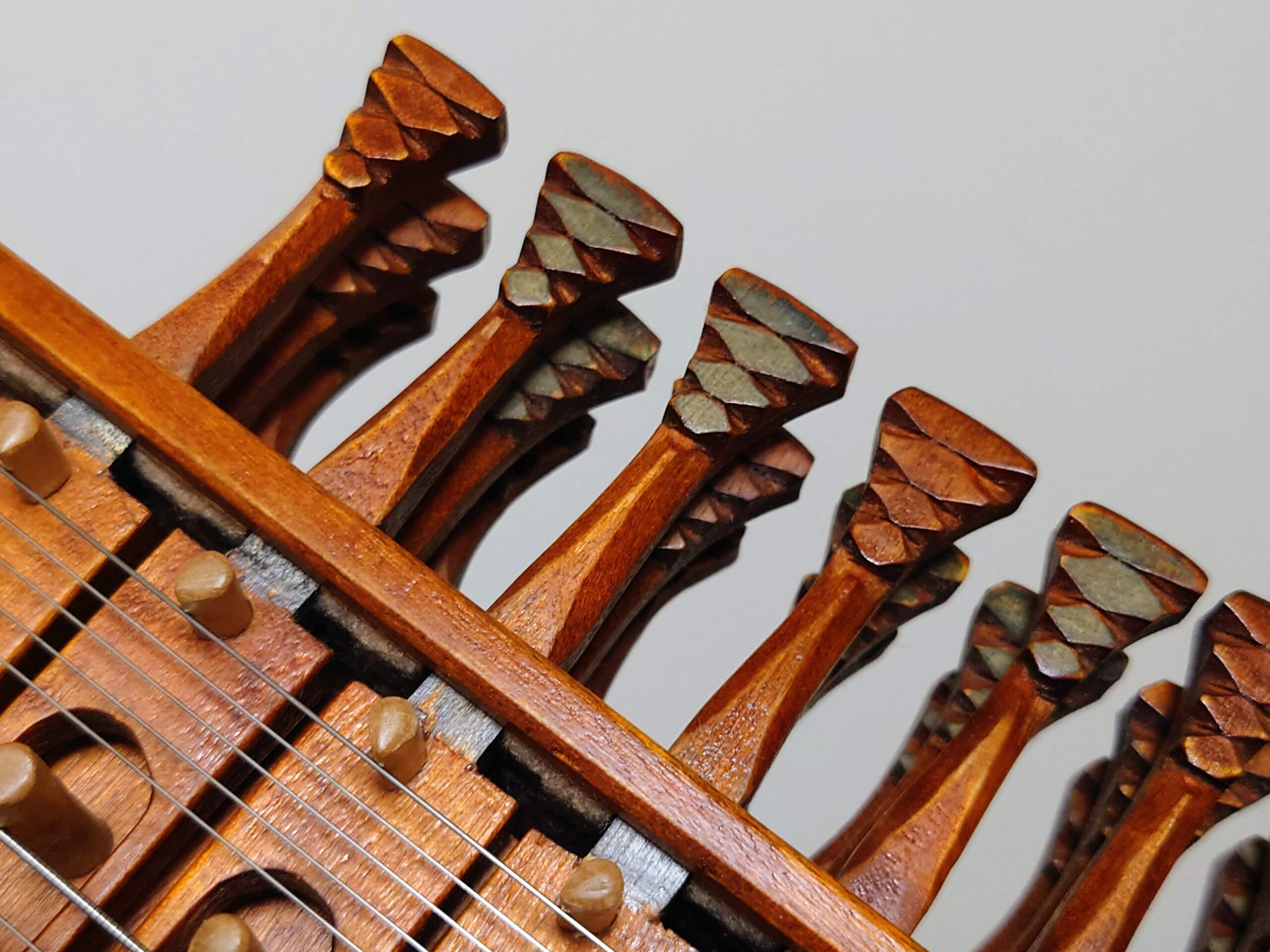 小学館「図鑑NEO POCKET 音楽」ニッケルハルパ掲載 | 峰村茜